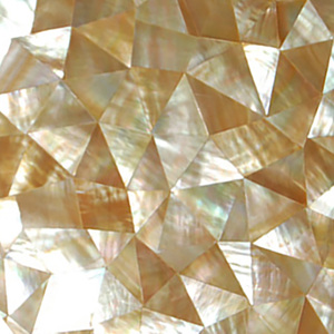 Mosaico de Azulejos de Nácar Dorado, Estilo Náutico, Joyería de Conchas Marinas, Decoración de Pared para Interiores - Product Image 1