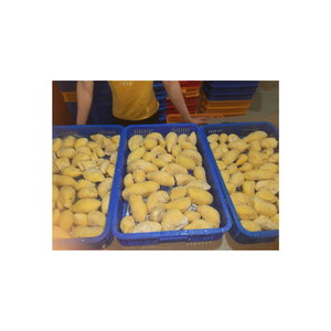 Morceaux de durian congelés de qualité supérieure sans pépins emballés sous vide au goût naturel doux et crémeux du Vietnam - Product Image 1