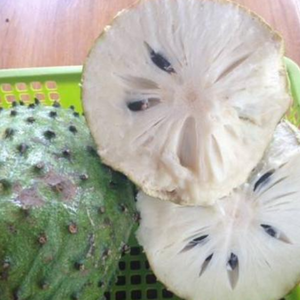 Guanábana congelada de Vietnam \ Fruta de Graviola IQF Premium, Proveedor de exportación de fruta congelada tropical natural - Product Image 6