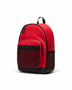 Unisex Striped Polyester Waterproof Fashion <b>Backpack</b> Large Capacity for <b>School</b> or Travel Made in Vietnam - Product Image 2