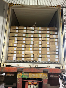 Calamansi glacés naturellement zestés du Vietnam: Flash-Frozen from Fresh Calamansi, idéal pour les tendances culinaires tropicales et en déplacement - Product Image 4