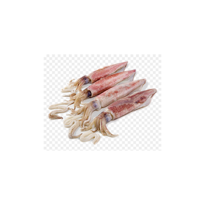 Calamar entero congelado de origen industrial disponible para necesidades de comercio al por mayor continuas - Product Image 6