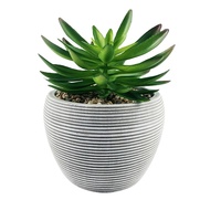 Pot en ciment rond en gros pour plantes d'intérieur, idéal pour serres, orchidées et herbes