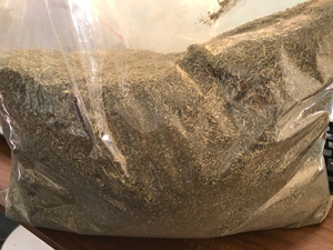 Herbe de chat en vrac séchée en gros, 100% naturelle et biologique, à action prolongée, feuilles en vrac, soutien mental, soulagement du stress, du VIETNAM - Product Image 4