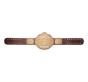 เข็มขัดแชมป์เหล็กแบบปรับแต่งได้สำหรับมวยคาราเต้ MMA แบบเป็นมิตรกับสิ่งแวดล้อมดีไซน์เอวสูงสีทองมีให้เลือก - Product Image 4