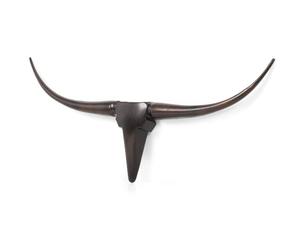 Décoration murale en aluminium Tête de taureau pour décoration murale Finition antique Disponible en trois tailles Sculptures murales en métal - Product Image 4