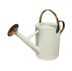 Accesorios Lata de agua Regadera de metal pulido de hierro a media venta Precios para uso artesanal al mejor precio - Product Image 4