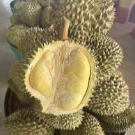 Handpicked <b>Fresh</b> Durians From Thailand Khey Taladthai Brand Grade A-Perfectly Ripe Creamy Exotic Tropical Flavor Best Thailand - Product Image 3