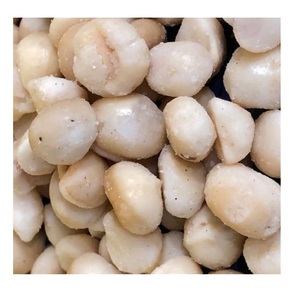 Nueces de Macadamia al por Mayor, 10 kg, Nueces de Macadamia a Granel - Product Image 4