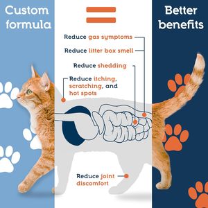 OEM ODM Door dierenartsen aanbevolen probiotica poeder Darmgezondheid Immuunversterker Spijsverteringsgezondheid Glanzende vacht ondersteuning Graanvrij Hoog eiwitgehalte - Product Image 6