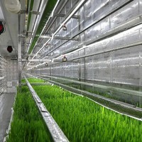 Contenedor Automatizado para Cultivo de Forraje para Ganado, Ovejas y Caballos, con Control Inteligente por IOT, Directo de Fábrica