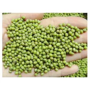 优质绿色绿豆缅甸或任何其他产地散装新鲜库存，批发价，交货快