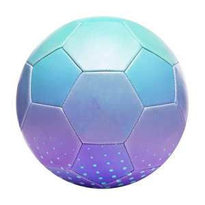Venta caliente OEM Diseño de logotipo personalizado Portería de fútbol de alta calidad Tamaño personalizado Vejiga de butilo Nuevo estilo duradero - Product Image 1