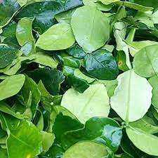 Hojas de limón secas congeladas orgánicas Ángulo de origen de Vietnam-Beber y cocinar - Product Image 3