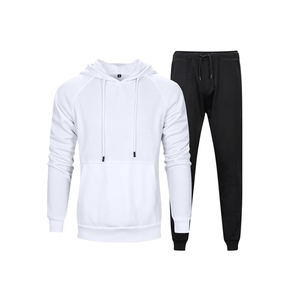 Conjunto de chándales de invierno para gimnasio, sudaderas con capucha gruesas de color sólido con logotipo personalizado, diseño ecológico de peso pesado, precio al por mayor - Product Image 4