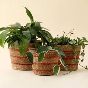 Natural Seagrass Woven <b>Plant</b> Pot Ideal <b>for</b> Indoor <b>Plants</b> Office Decor Bulk Wholesale Supply and Private Label Production - Product Image 4