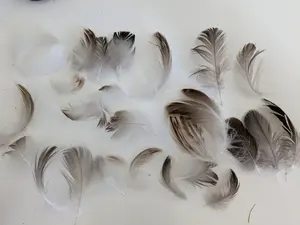 ขนนกเป็ดย้อมสีหลากหลายสีเลือกคุณภาพดีงานฝีมือที่เป็นมิตรกับสิ่งแวดล้อมสำหรับนักออกแบบแฟชั่นเครื่องประดับ - Product Image 2