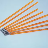 Customizable OEM Glass Thermometer for Laboratory Temperature Testing Instrument