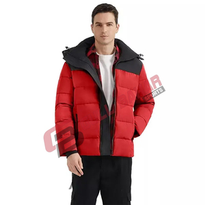 Chaqueta de Invierno para Hombre con Logotipo Personalizado de Alta Calidad, Servicio OEM, Cuello Alto, Estilo Urbano, Impermeable, Transpirable, Venta al Por Mayor - Product Image 1