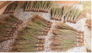 Escoba batidora vietnamita duradera con mango de ajenjo y bambú, recogedores y cepillos elegantes - Product Image 2