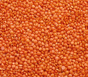 Dried Red Lentils Whole Organic Non GMO Natural High Protein Plant Based Legumes For Cooking And <b>Baking</b> - Product Image 6