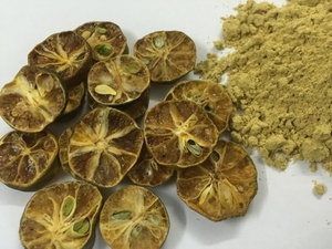 Polvo de Fruta de Calidad de Exportación, Empaque OEM Disponible, Polvo de Calamansi Secado por Aspersión, Suministro a Granel ANGLE - Product Image 6