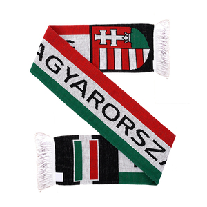 Euro 2024 Fútbol Animando Productos Pinturas faciales Bufanda Gafas de sol Cuerpo de mano Coche personalizado 3x5 pies <span class=keywords><strong>Bandera</strong></span> de Hungría - Product Image 5