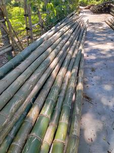 Postes de bambú seco tratado para proyectos al aire libre y trabajos artesanales - Product Image 6