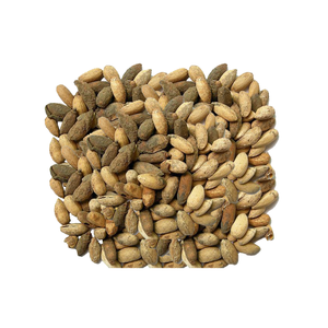 เมล็ดสะเดาสำหรับปุ๋ยธรรมชาติและสูตรสมุนไพร - Product Image 4