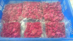 Fruta del Dragón Roja Congelada/ Pitaya Congelada/ Dragón Congelado Entrega Rápida Sra. Sophie - Product Image 6