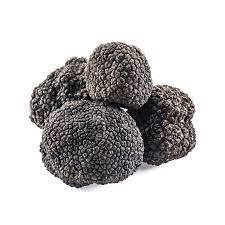 Wholesale Black <b>Truffle</b> Mushroom For Sale - Product Image 6