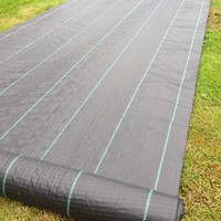 Rouleau de toile de paillage perforée grise en plastique pour le contrôle des mauvaises herbes dans le jardin