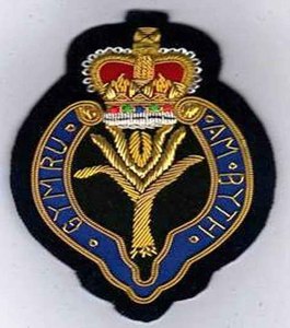 SURREY YEOMANRY BLAZER 배지 OEM 영국 계급 휘장 크레스트 패치 및 배지 맞춤형 도매 실버 금괴 와이어 모자 배지