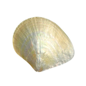 Plat et cuillère faits à la main en nacre, assiette ronde pour usage polyvalent, cuillère et plat ronds en nacre pour la salle à manger - Product Image 3