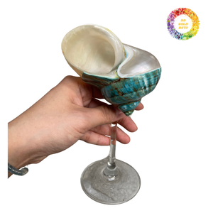 Verre de coquille de haute qualité du Vietnam pour la crème glacée de cocktail de Champagne et les desserts de fruits - Product Image 1