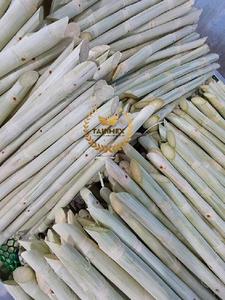 อ้อยน้ําตาลแช่แข็งอร่อยคุณภาพสูงจากเวียดนาม - Product Image 6