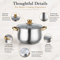 Ensemble de casseroles en acier inoxydable OEM/ODM avec poignées dorées et couvercles en verre, ensemble de 8 ustensiles de cuisine pour la maison