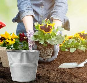 Seau de jardinières de fleurs en acier galvanisé pour la maison, le jardin et l'artisanat. - Product Image 2