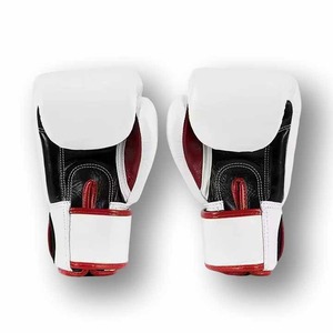 2025 Top vente Premium qualité Fairtex modèle MMA gants Muay Thai formation et gants de combat haute qualité cuir d'origine - Product Image 5