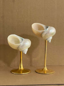 Various Shape Natural Snail Shell Cup, Polished Moon Seashell Cup, Luxurious Snail Cup For Drinking From Vietnam - Product Image 2