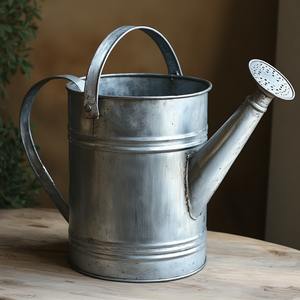 Arrosoir galvanisé écologique multifonctionnel avec une capacité de 1 à 10 L pour le jardinage, la construction, les besoins en eau ménagers - Product Image 5