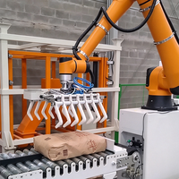 Station de palettisation collaborative modulaire AUBO 30 kg, robot cobot pour l'empilage de boîtes en carton, automatisation de la palettisation en entrepôt