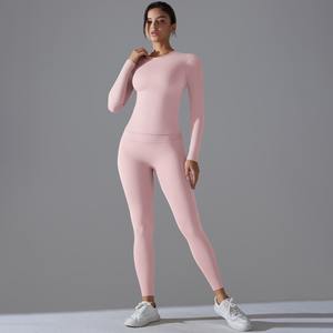 Invierno 2 piezas de alta calidad Hogar personalizado sin costuras gimnasio Control de barriga entrenamiento Fitness ajustado Activewear mujeres Sexy conjunto - Product Image 1