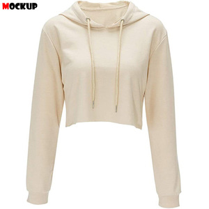 เสื้อครอปฮู้ดดี้ผู้หญิงสำหรับฤดูหนาว เสื้อฮู้ดดี้ครอปแบบเรียบง่าย ขายส่ง เสื้อฮู้ดดี้แฟชั่นสำหรับวัยรุ่นหญิงในฤดูใบไม้ร่วง - Product Image 2