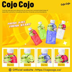 450ml de boisson concentrée à la noix de coco Cojo Cojo tropical ananas avec Nata De Coco échantillon gratuit OEM ODM marque privée - Product Image 2