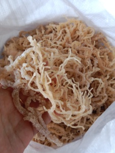 Matériau d'algues crues de mousse de mer séchée naturelle du Vietnam idéal pour un usage culinaire Desserts Smoothies et transformation des aliments - Product Image 4