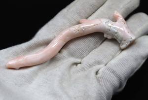 ปะการังสีขาวธรรมชาติญี่ปุ่นอัญมณีหลวมผิวนางฟ้าขัดปะการังทำเครื่องประดับขนาด102X13MM - Product Image 4