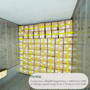 La purée de goyave premium sans sucre de Kim Minh International emballée en vrac au Vietnam - Product Image 3