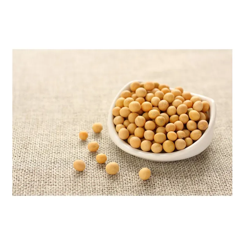 Good quality soya bean for oil soybean Soybean Seeds with reasonable price in FREE TAX