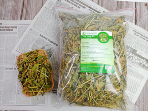 ใบสมุนไพรธรรมชาติแห้งคลีนาแคนตัสนูกันสะบาห์หญ้างู | ผู้จำหน่ายสมุนไพรเวียดนาม - Product Image 5